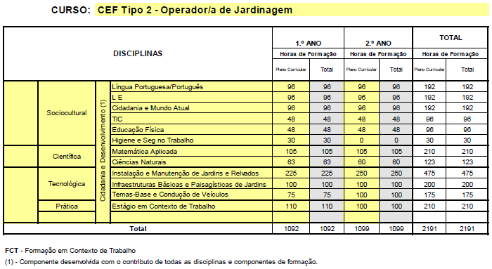 Matriz CEF_OJ